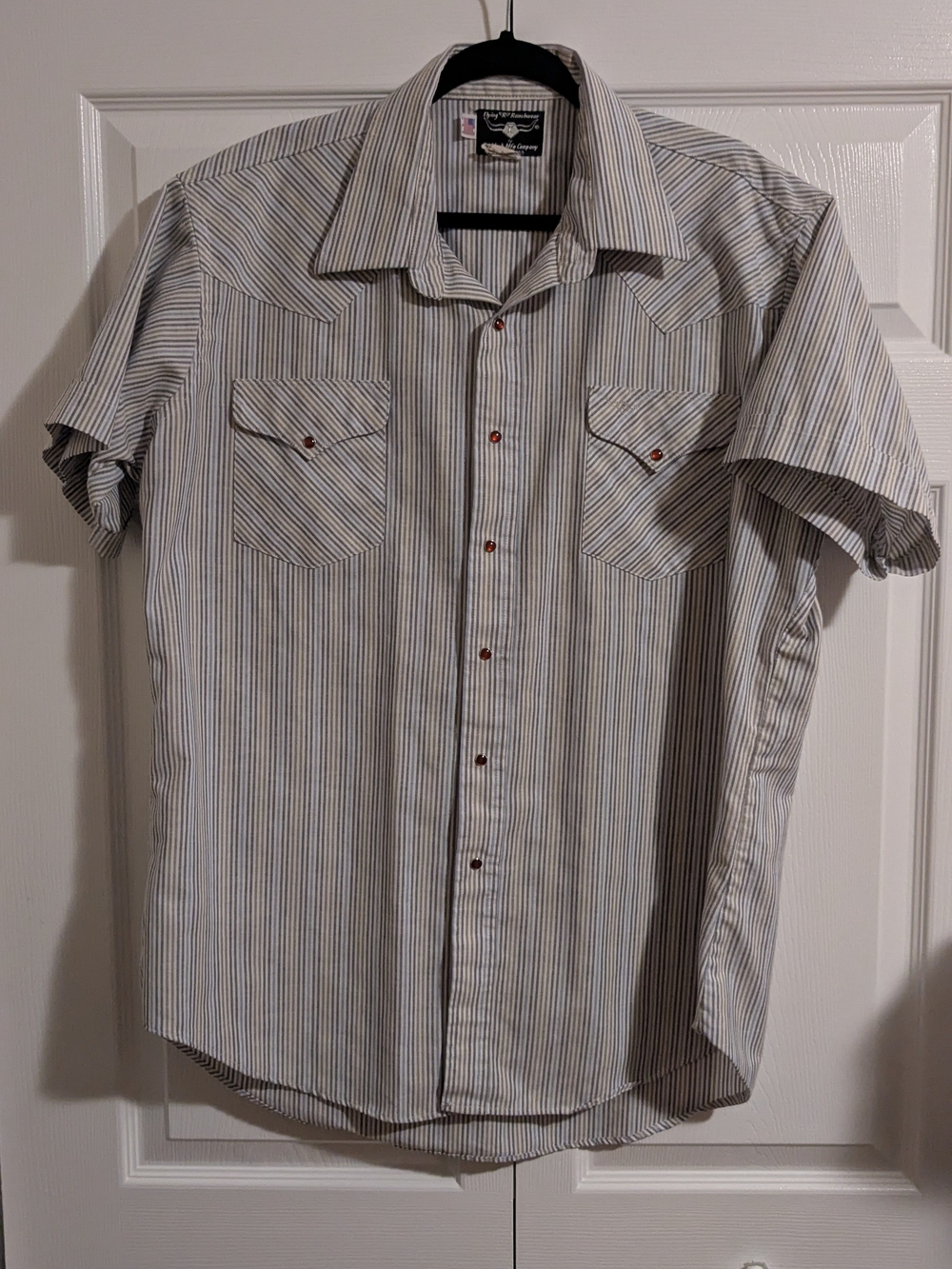 Men's Short-Sleeve Stripe Button-Up Shirt - White & Blue